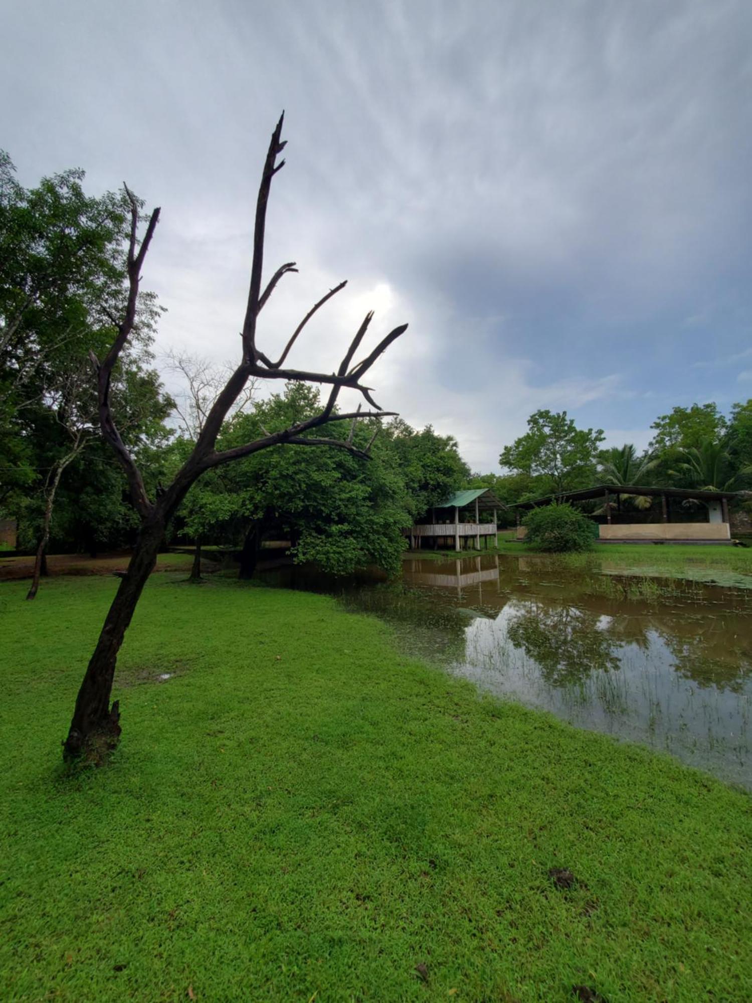 Clay Hut Village Polonnaruwa Exterior foto