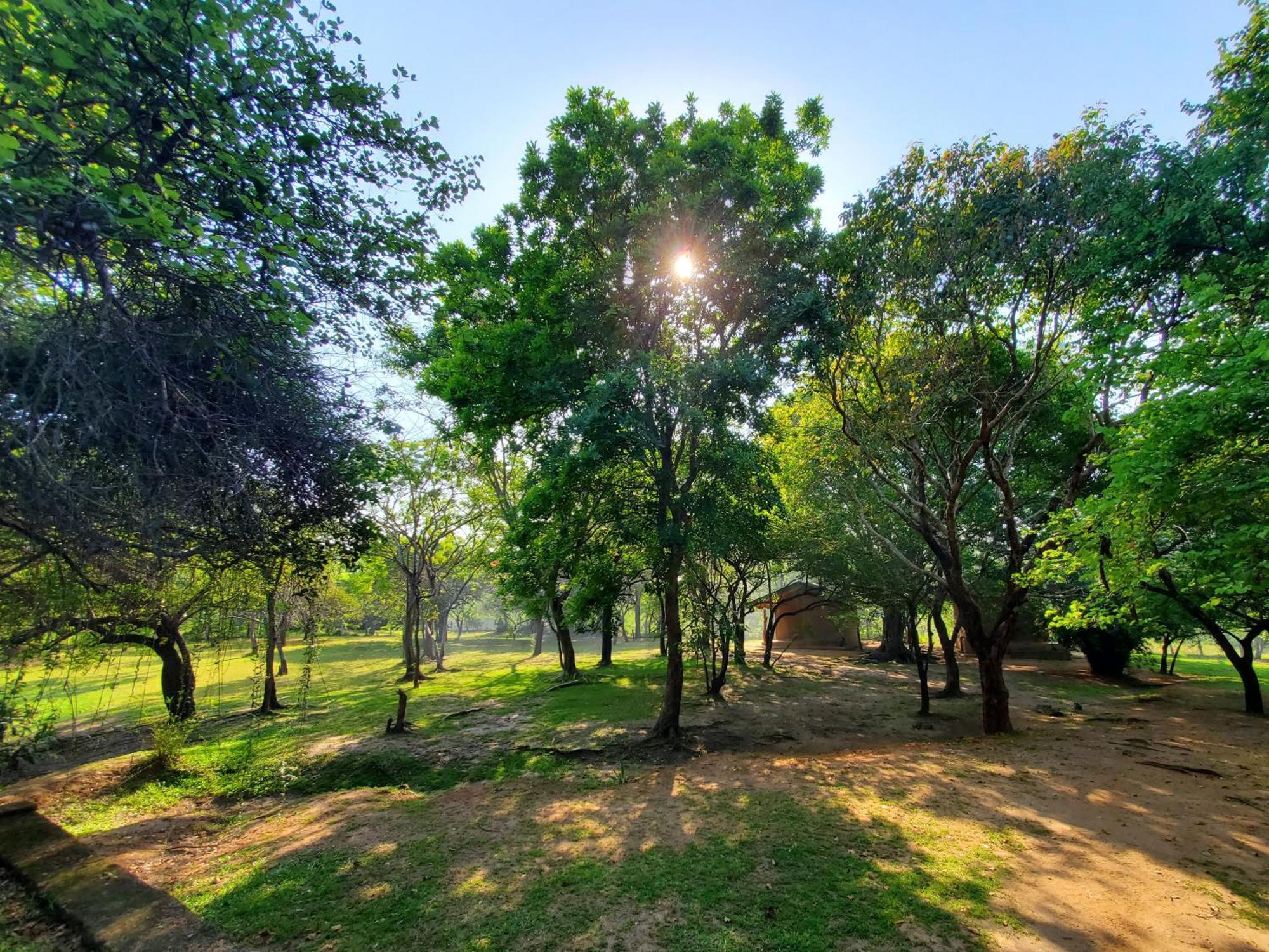Clay Hut Village Polonnaruwa Exterior foto